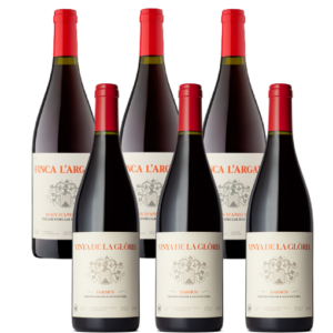 6 botellas varias: Finca L'Argatà 2022 (3 botellas) y Vinya de La Glòria 2020 (3 botellas)